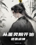 从鉴宝开始修仙全文阅读