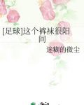 足球这个裤袜很阳间全文