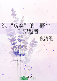 综 “房穿”的“野生”穿越者