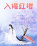 红楼之入赘林家