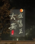 大安定远王