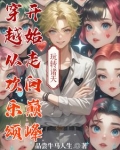 穿越从欢乐颂开始下载