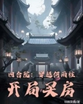 四合院:穿越何雨柱,开局买房 列表