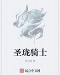 圣珑骑士干红葡萄酒187ml