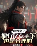 主角为皇子