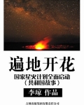 国家级星火计划是什么意思