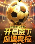 绿茵豪门绿茵场绿茵场指代哪项运动