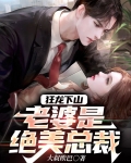 小说狂龙女婿