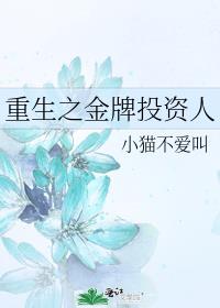 重生之金牌投资人