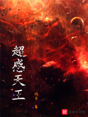 超级天王 小说