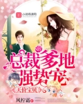 天价宝贝:总裁爹地强势宠 聚合中文网