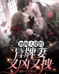 财阀大佬您的夫人a炸了小说免费
