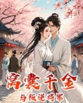 窝囊千金与叛逆将军的故事