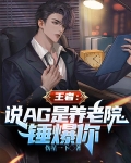 网络用语别刀了是什么意思
