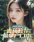 青梅是校花的小说