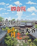 四合院何雨水的小说