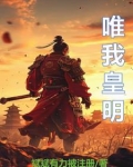 明中祖朱慈R小说