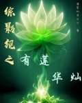 综影视含西游记莲花