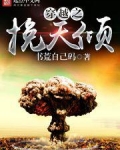穿越红楼之挽天倾
