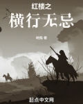红楼之横行无忌