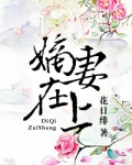 嫡妻在上(重生)
