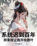 系统迟到系列小说