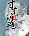 小说 寸寸销魂