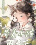 带着猫儿去旅行