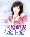 闪婚萌妻,宠上宠