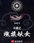 斗破之魂族妖女txt