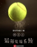 网王之最强装备系统