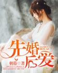 先婚后爱电视剧在线观看