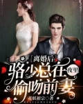 离婚后,骆少总在夜里偷吻前妻