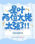 starleaf星叶