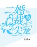 二婚总裁的心尖宠冥轩见老丈人是哪一集