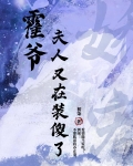 霍爷,夫人又去摆地摊了下载