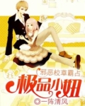 校草大人的极品小妞小说