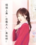 惹祸上身:总裁大人,接招吧!