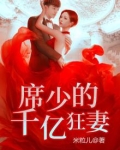 席少什么妻的小说