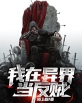 我在异界当反贼小说