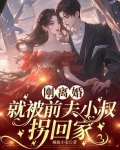 小说第一章离婚后,前夫天天来追我