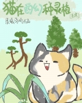 猫在西幻种灵植[基建] 小说
