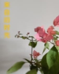 旧时光里的自己