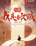 红楼:我真不是汉贼下载