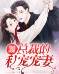 错嫁成婚:总裁的私宠宠妻
