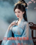 红楼之贾家大