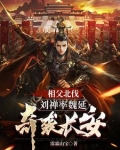 老三国刘禅相父啊