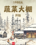 蔬菜大棚是什么时候开始的