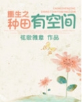 重生之种田有空间