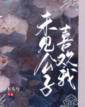 未见公子喜欢我